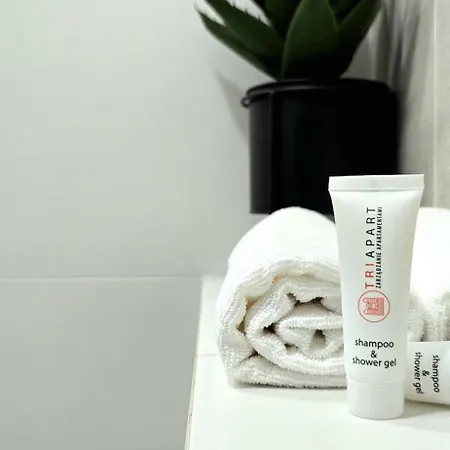 Garden By Triapart 公寓 格但斯克